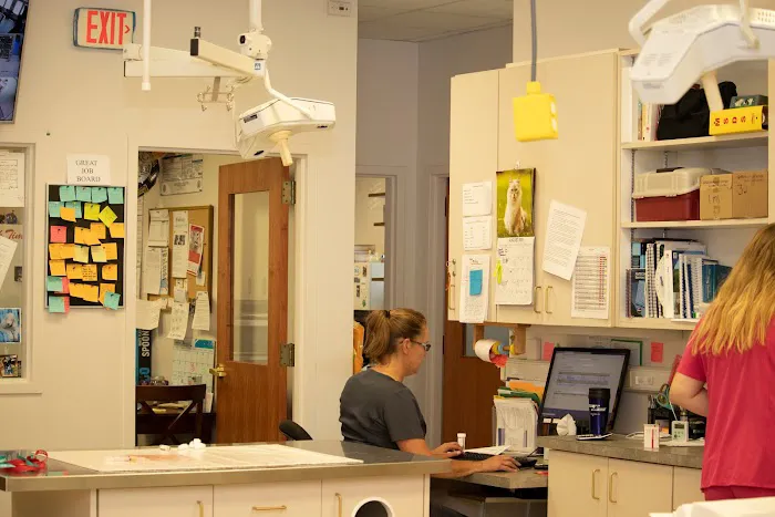 Ottawa Animal Hospital East 9