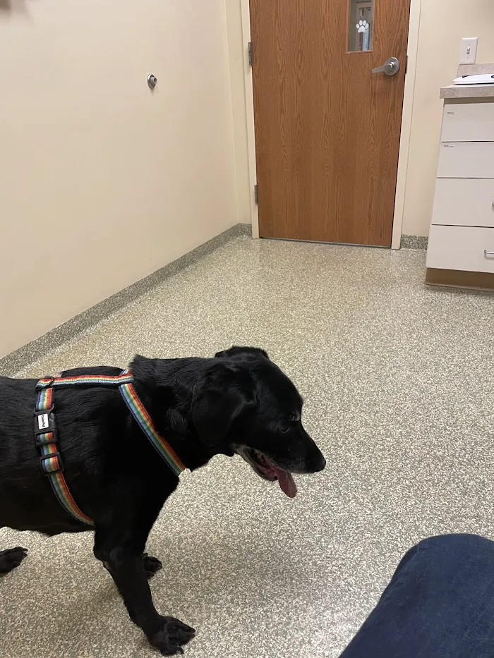 East Holland Veterinary Clinic 4