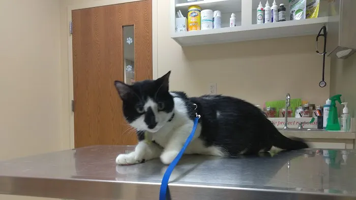 East Holland Veterinary Clinic 2