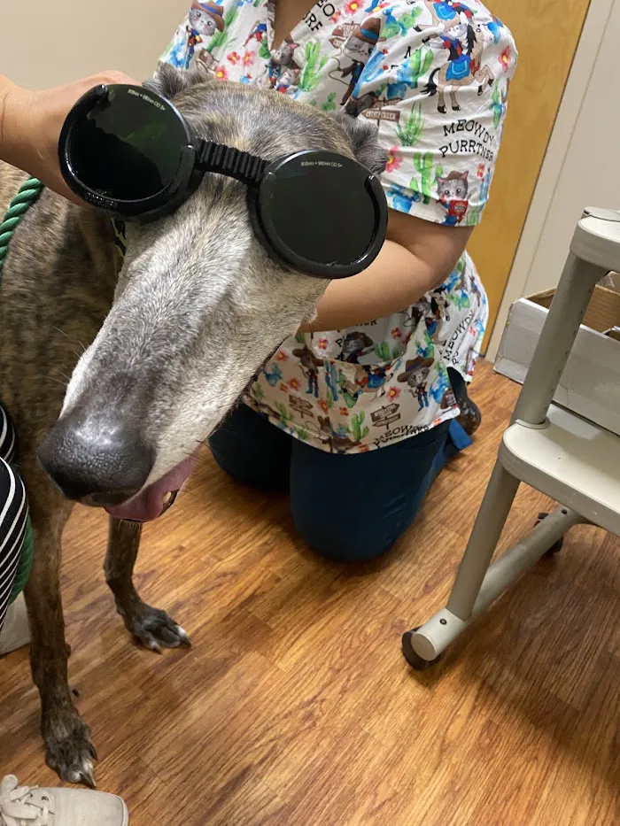 Pet Pals Veterinary Hospital 7