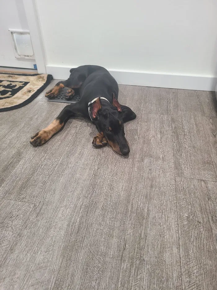 Mt. Comfort Animal Hospital 12
