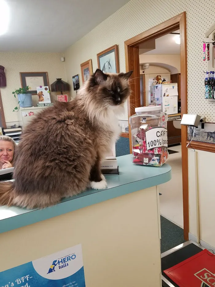 Mt. Comfort Animal Hospital 12
