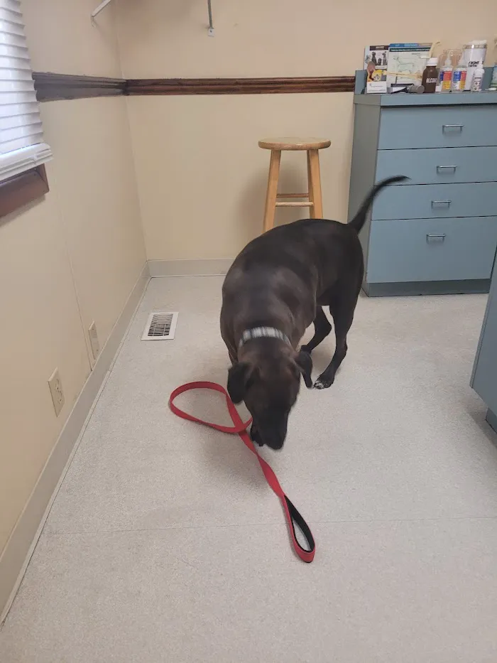 Mt. Comfort Animal Hospital 12