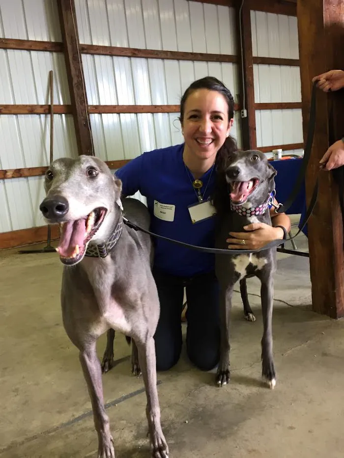 Broad Ripple Animal Clinic 12