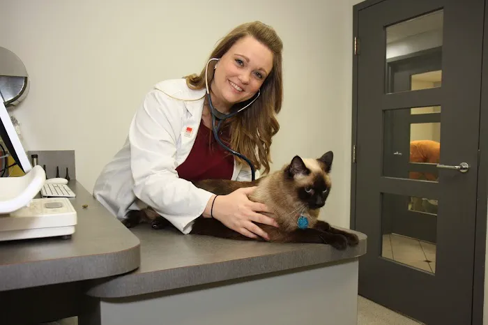 Broad Ripple Animal Clinic 12