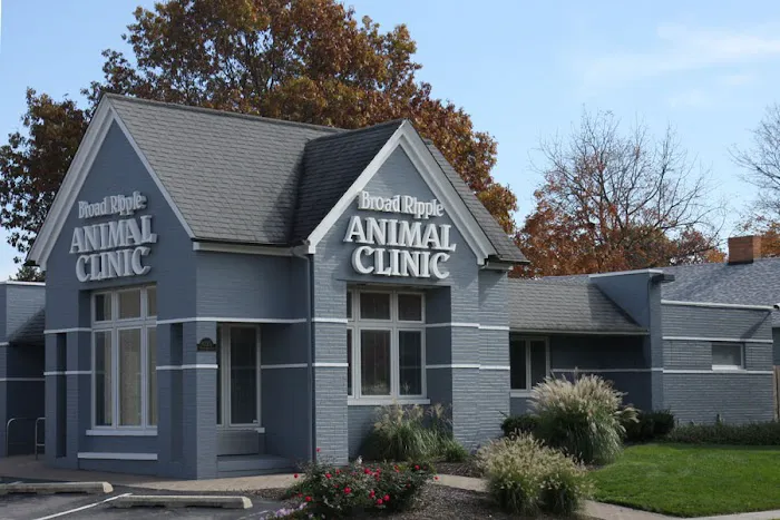 Broad Ripple Animal Clinic 12