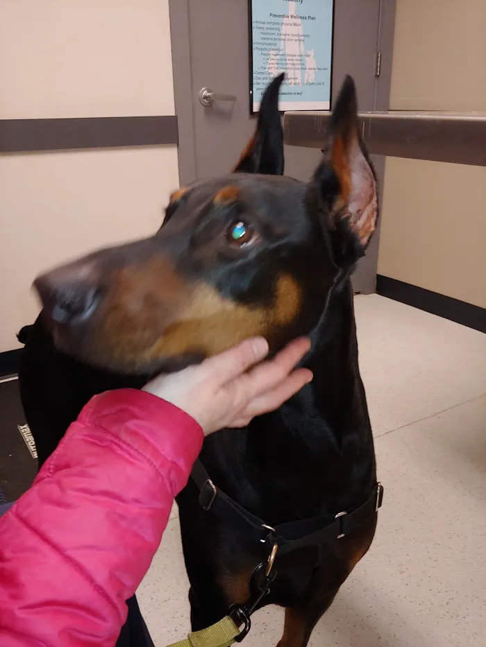 Glasgo Memorial Veterinary Hospital 12