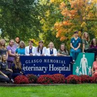 Glasgo Memorial Veterinary Hospital ico