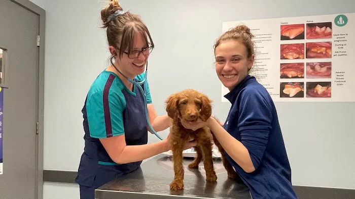 Glasgo Memorial Veterinary Hospital 12