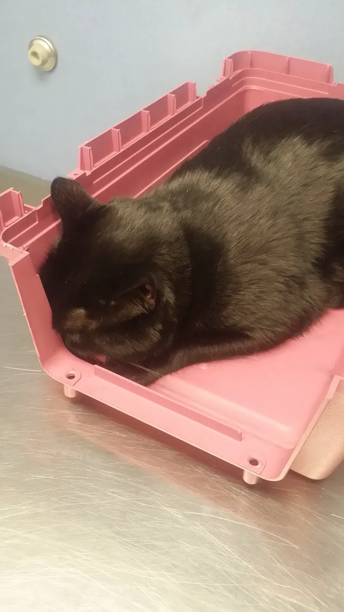 Glasgo Memorial Veterinary Hospital 12