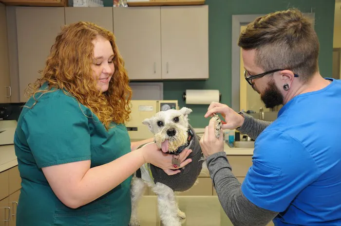 Glasgo Memorial Veterinary Hospital 12