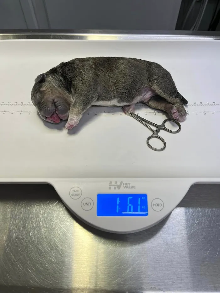 Lafayette Road Veterinary Hospital 3