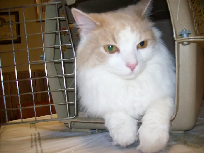 Lafayette Road Veterinary Hospital 9