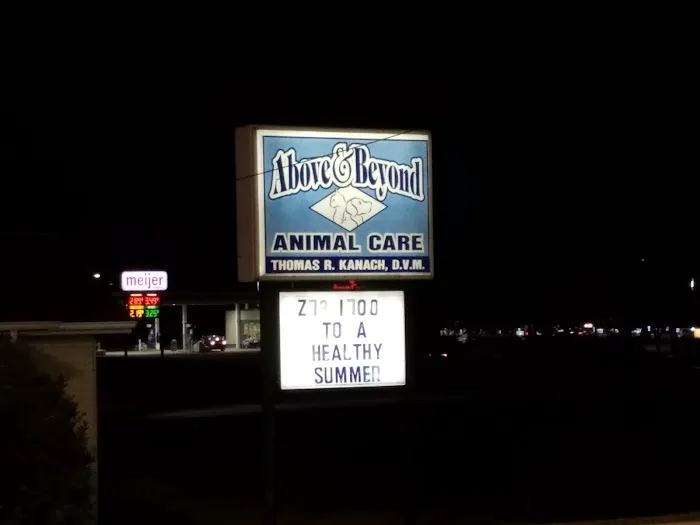 Above & Beyond Animal Care 12