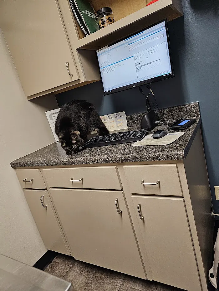 Avon Veterinary Clinic 12