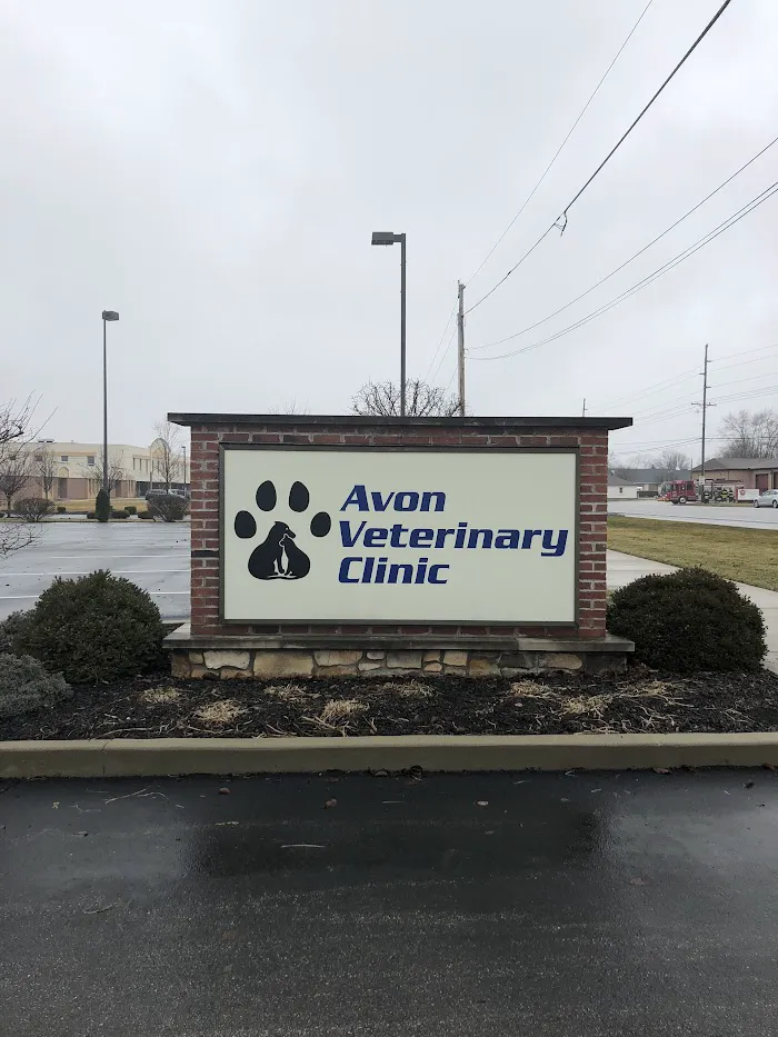 Avon Veterinary Clinic 12