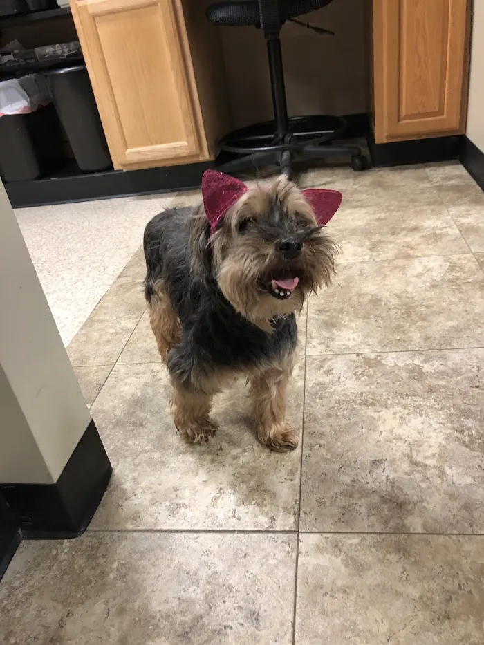 Avon Veterinary Clinic 12