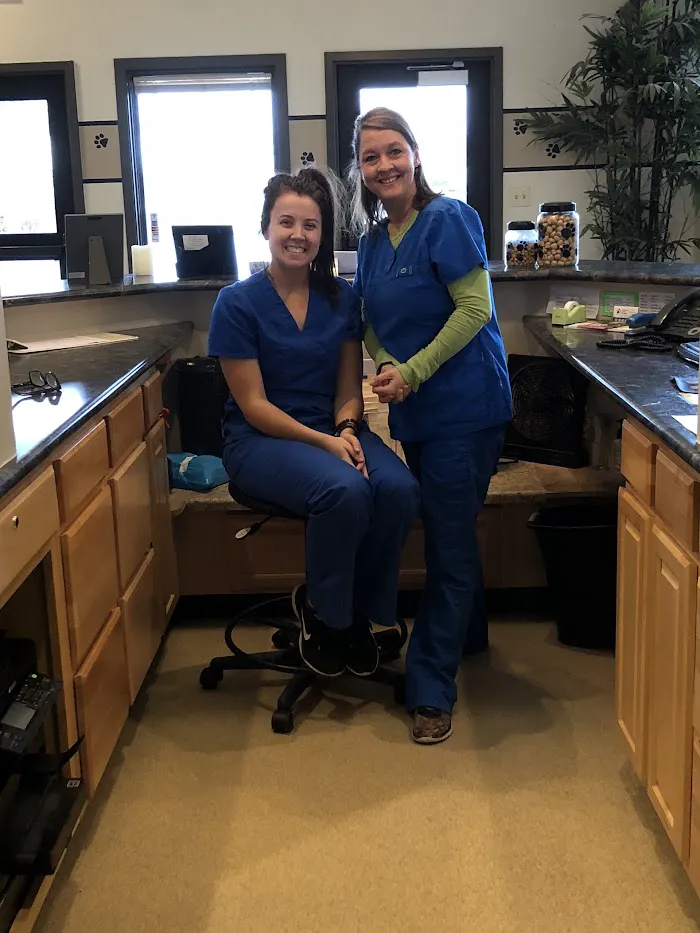 Avon Veterinary Clinic 12