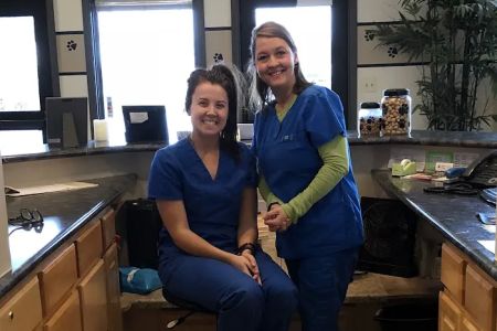 Avon Veterinary Clinic