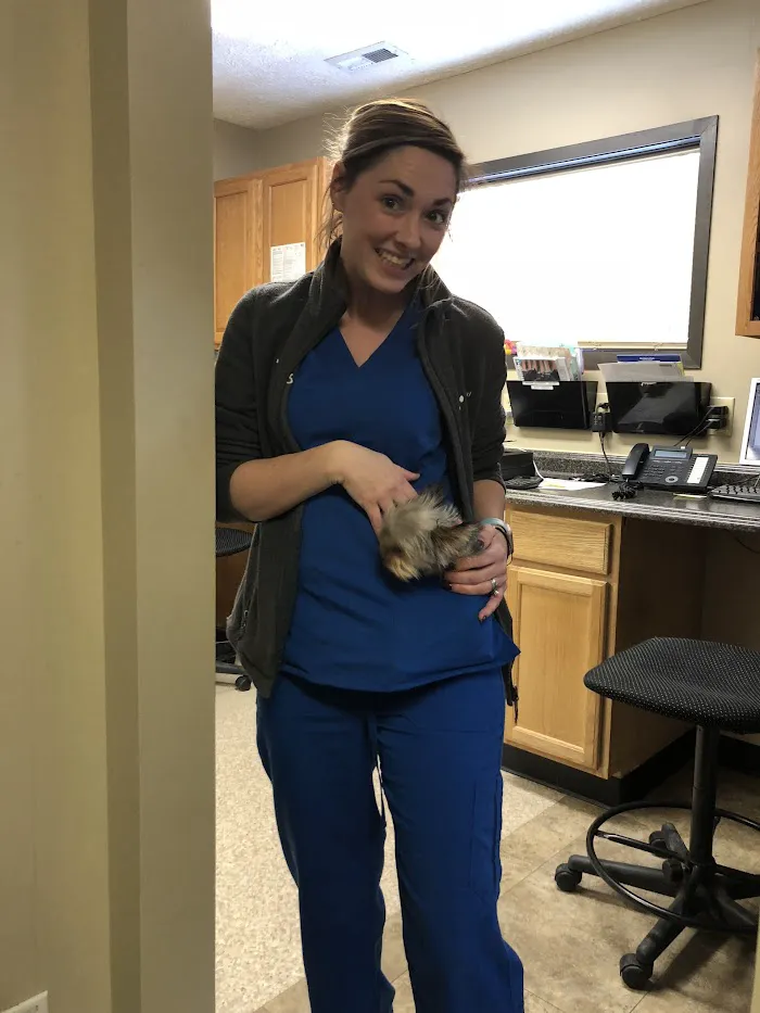 Avon Veterinary Clinic 12