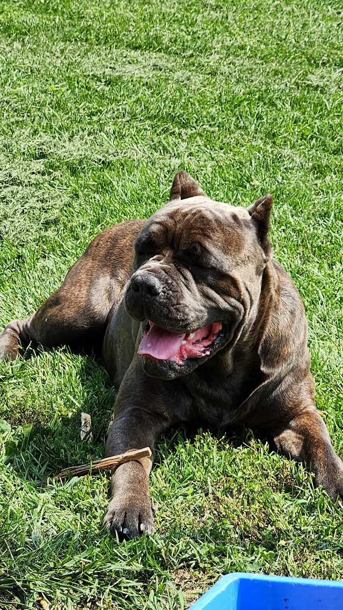Avon Veterinary Clinic 12