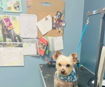 Decatur Veterinary Clinic