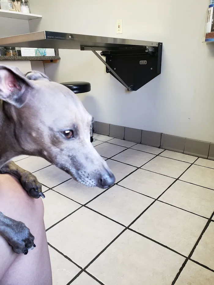 Decatur Veterinary Clinic 8