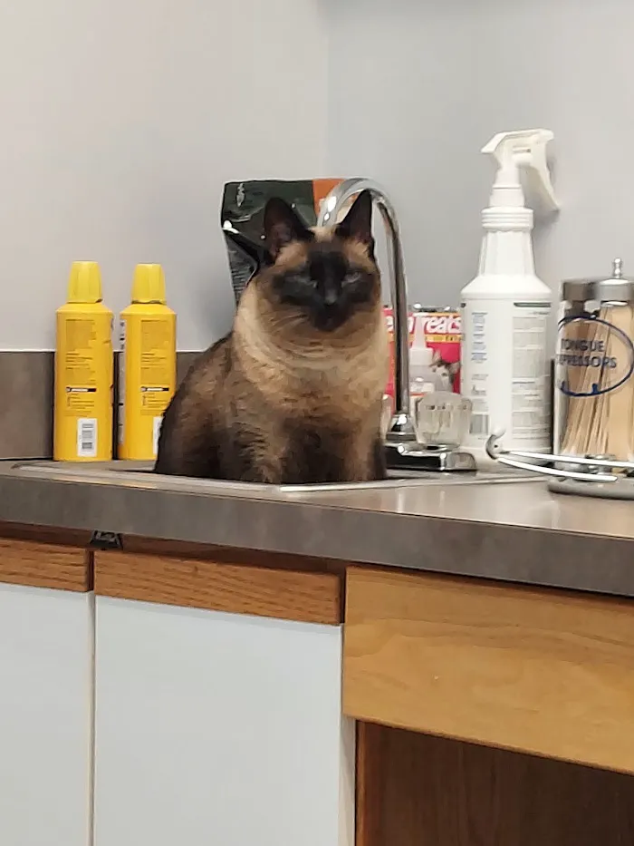 Freeland Animal Hospital 12