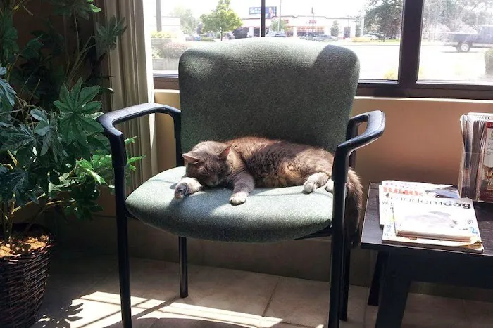 Freeland Animal Hospital 12