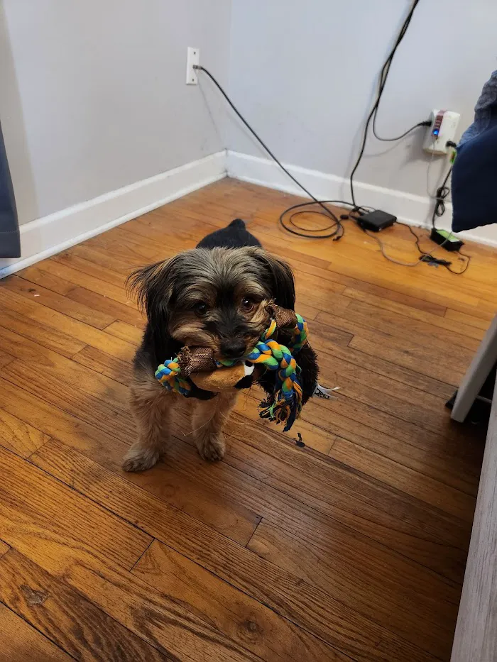Freeland Animal Hospital 12