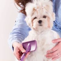 CenterGrove Animal Clinic ico