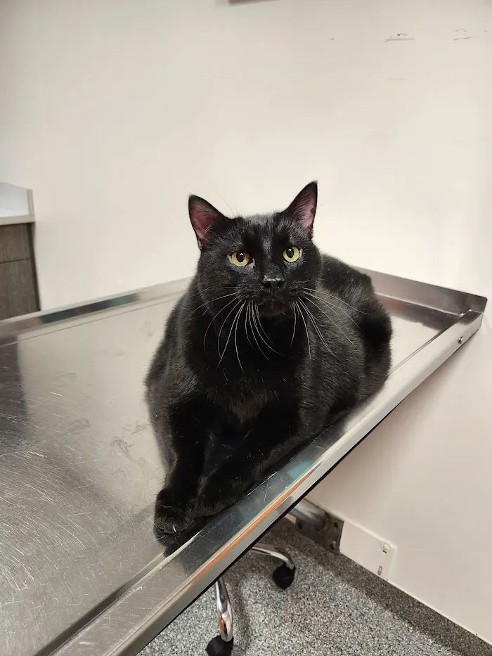 30th Street Animal Hospital 12