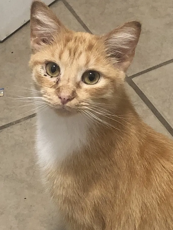 Whiteland Animal Clinic (Our New Name: Animal Clinic Whiteland Greenwood) 12
