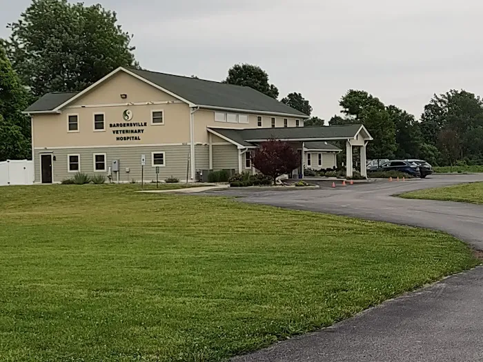Bargersville Veterinary Hospital & Wellness Center, A Thrive Pet Healthcare Partner 4