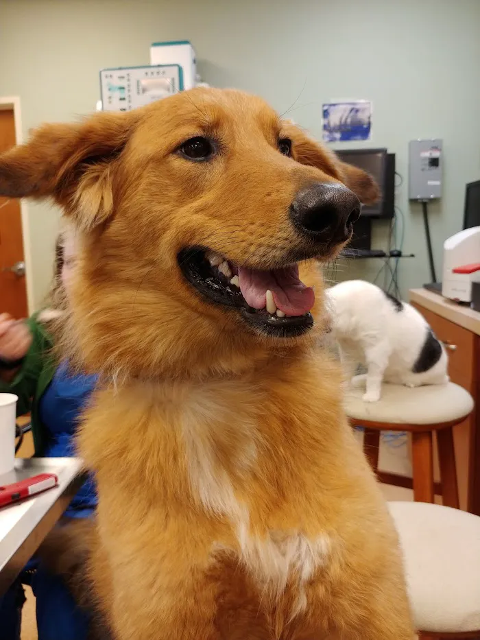 New Palestine Veterinary Clinic 7