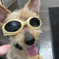 City Way Animal Clinics - Fall Creek ico