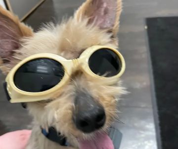 City Way Animal Clinics - Fall Creek