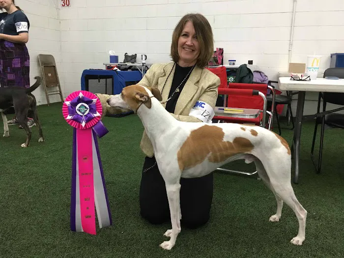 City Way Animal Clinics - Fall Creek 12