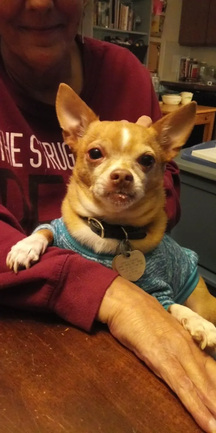 Indy Paws Veterinary Hospital 12