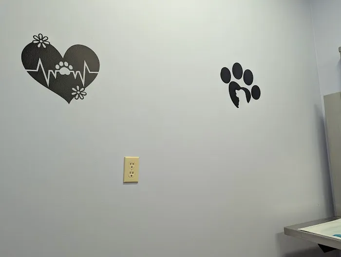 Ft. Harrison Veterinarians 12