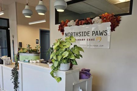 Northside Paws Veterinary Care