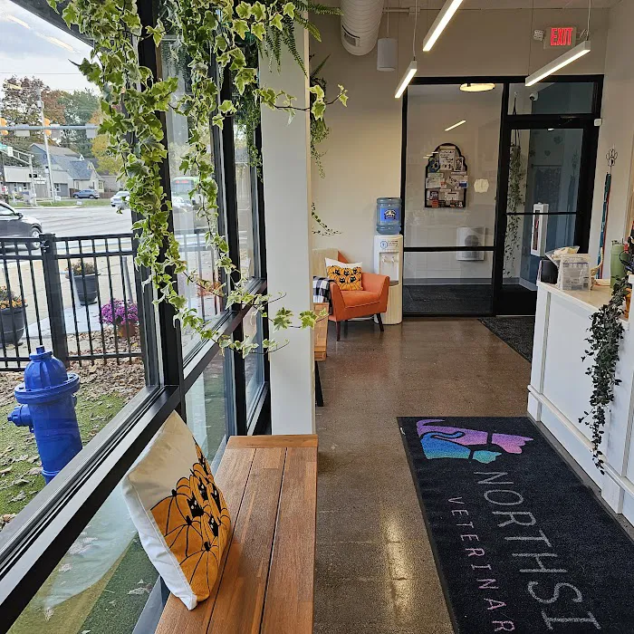 Northside Paws Veterinary Care 12