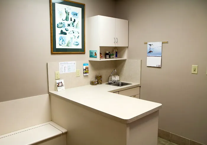 VCA Sugar Grove Animal Hospital 12