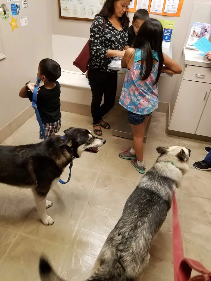 VCA Sugar Grove Animal Hospital 12