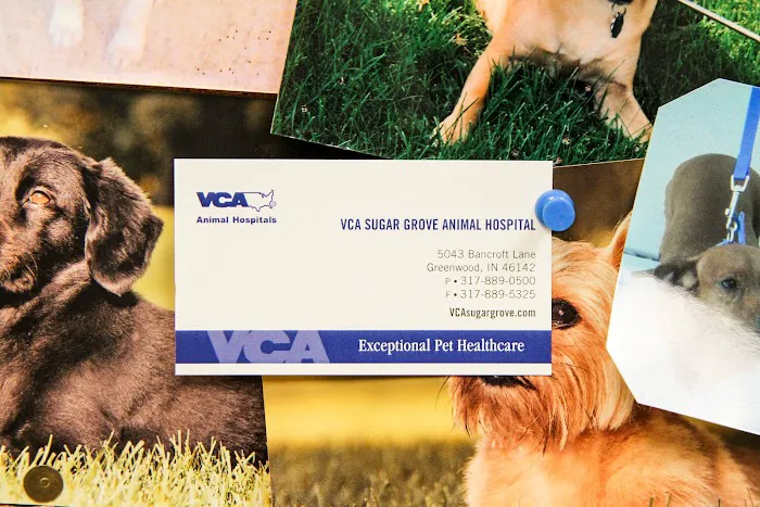 VCA Sugar Grove Animal Hospital 12