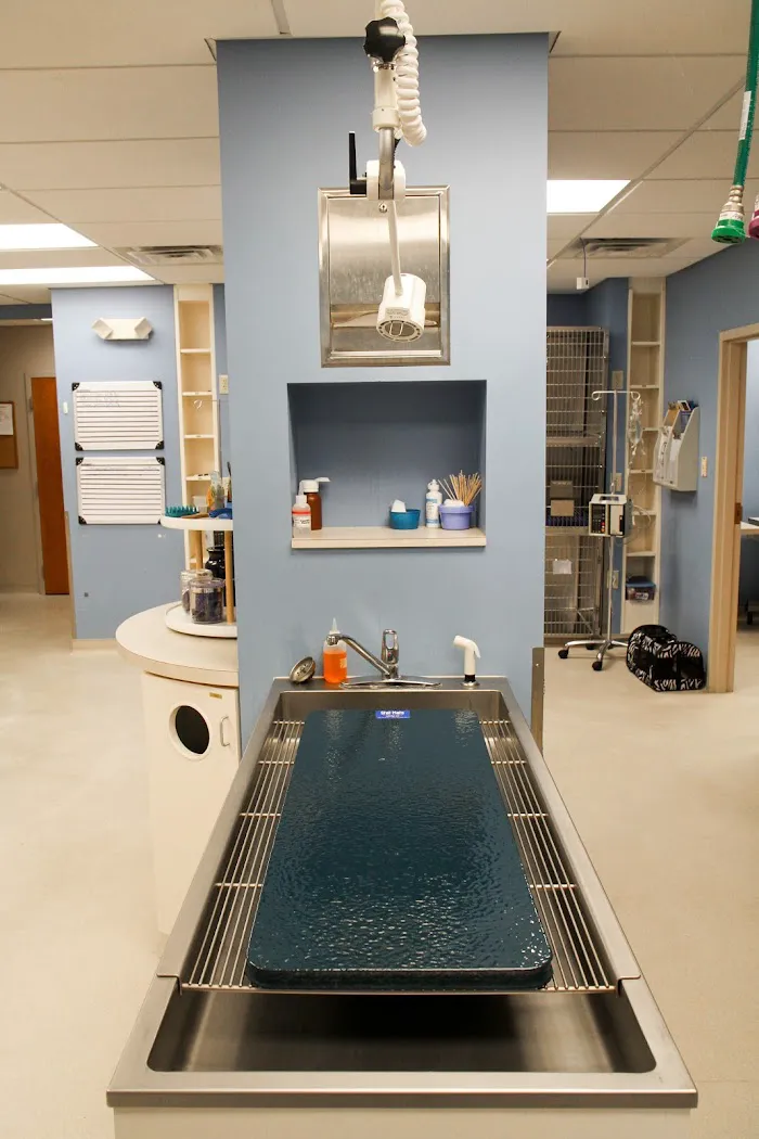 VCA Sugar Grove Animal Hospital 12