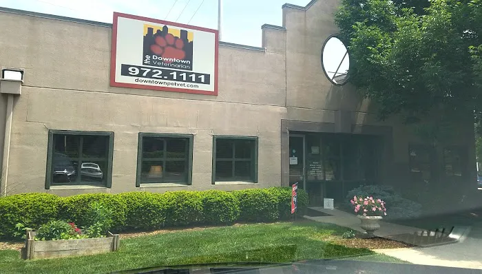 The Downtown Veterinarian 12