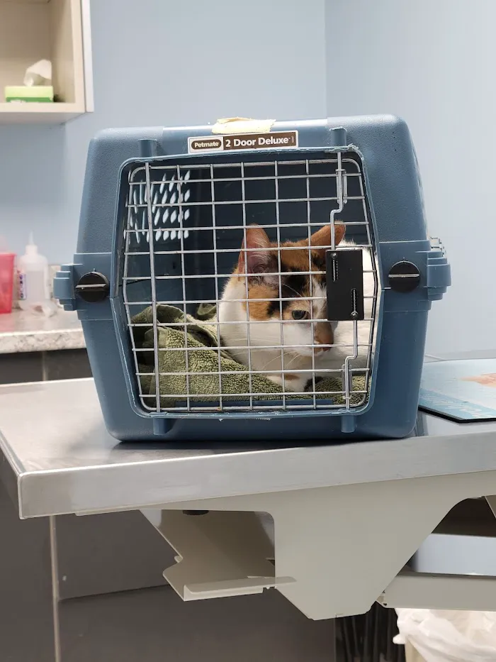 Animal Medical Center 12
