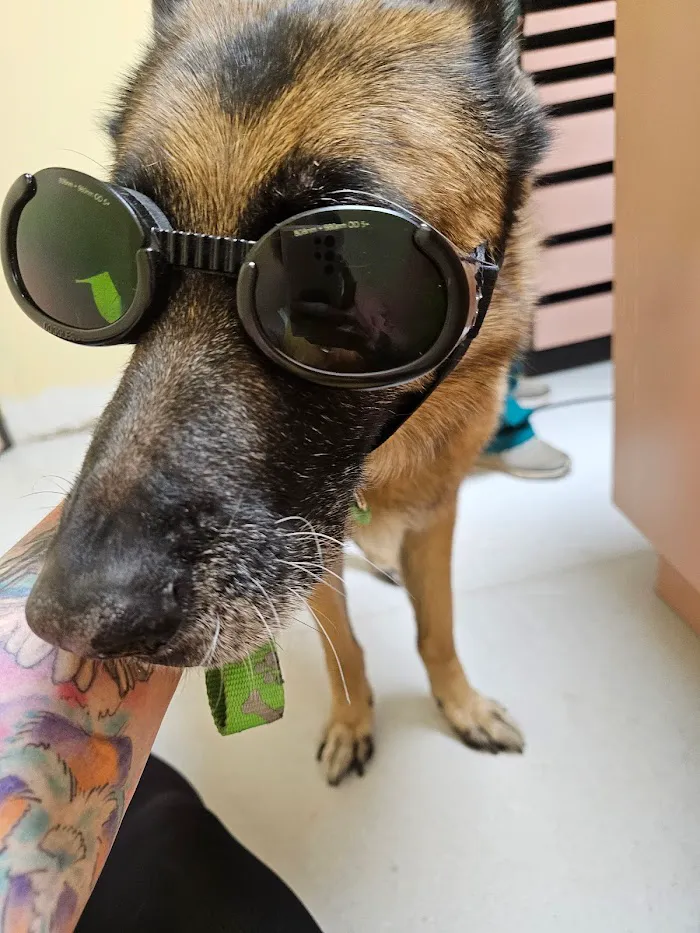 Animal Medical Center 12