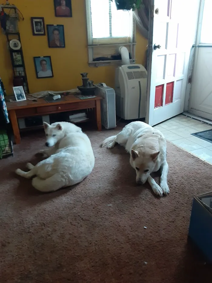 Animal Medical Center 12